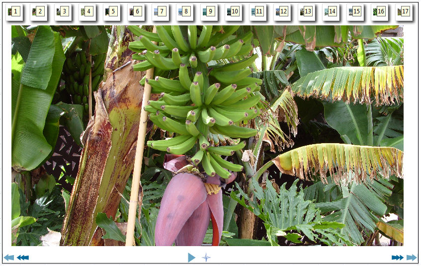 GranCanaria-�bersicht